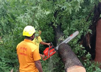 ଗଛପଡି ଭାଙ୍ଗିଲା ଘର, ବିଧବା ମହିଳା ଆହତ
