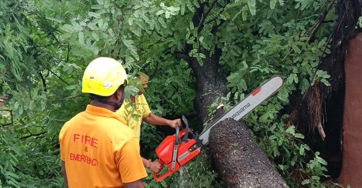 ଗଛପଡି ଭାଙ୍ଗିଲା ଘର, ବିଧବା ମହିଳା ଆହତ