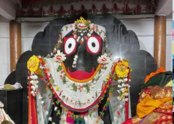 ଶ୍ରୀଦଧିବାମନଜୀଉ ଙ୍କୁ ଆଡ଼ପ ମଣ୍ଡପରେ ଦର୍ଶନ କରିଲେ ଭକ୍ତ