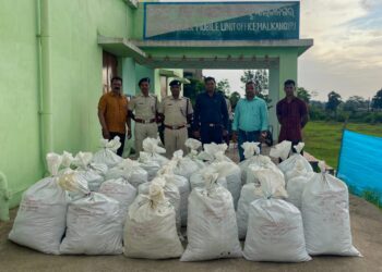 ମାଲକାନଗିରି ଅବକାରୀ ବିଭାଗ ବଡ଼ ସଫଳତା ଆଠ କ୍ୟୁଣ୍ଟାଲରୁ ଉର୍ଦ୍ଧ୍ବ ଗଞ୍ଜେଇ ଜବତ