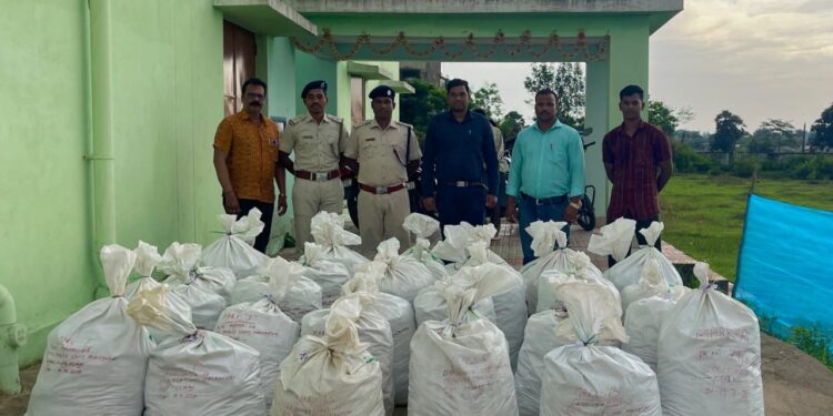 ମାଲକାନଗିରି ଅବକାରୀ ବିଭାଗ ବଡ଼ ସଫଳତା ଆଠ କ୍ୟୁଣ୍ଟାଲରୁ ଉର୍ଦ୍ଧ୍ବ ଗଞ୍ଜେଇ ଜବତ