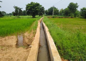 ଚାଷୀଙ୍କ ପାଇଁ ବରଦାନ ସାଜିଛି ମନରେଗା କେନାଲ……