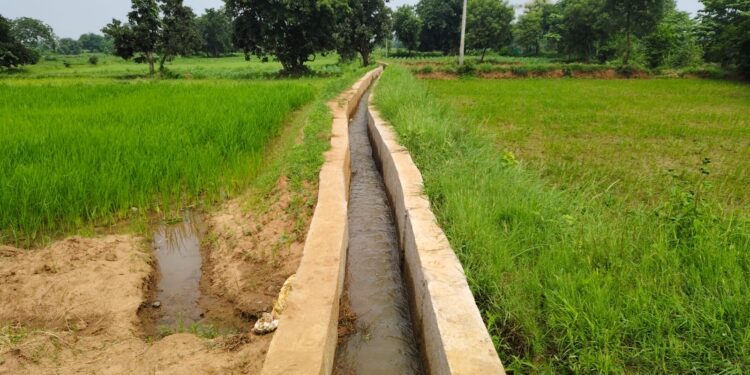 ଚାଷୀଙ୍କ ପାଇଁ ବରଦାନ ସାଜିଛି ମନରେଗା କେନାଲ……