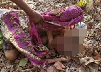 ହାତୀ ଆକ୍ରମଣରେ ବୃଦ୍ଧାଙ୍କ ମୃତ୍ୟୁ