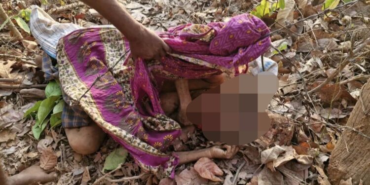 ହାତୀ ଆକ୍ରମଣରେ ବୃଦ୍ଧାଙ୍କ ମୃତ୍ୟୁ